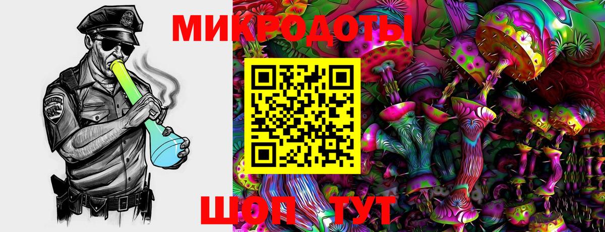 Псилоцибиновые грибы Cubensis Асбест